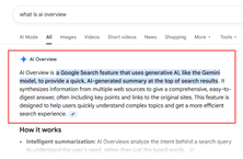 An example of AI Overview
