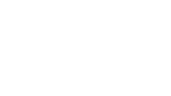 aip foundation