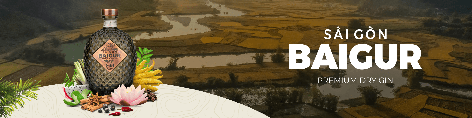 Saigon Baigur - Result.png